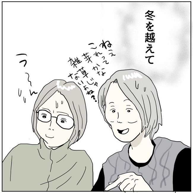 五十路日和／おーちゃん