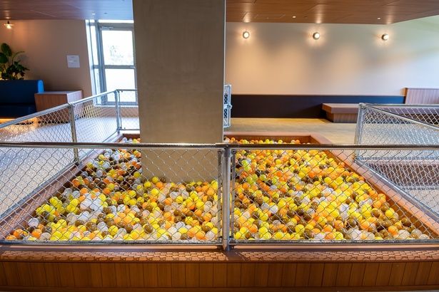 天候や気温を気にせず、愛犬と一緒に思い切り遊べる「ボールプール」も備えられている