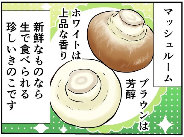 新鮮なものなら生で食べられる珍しいきのこ （C）峯鳥子