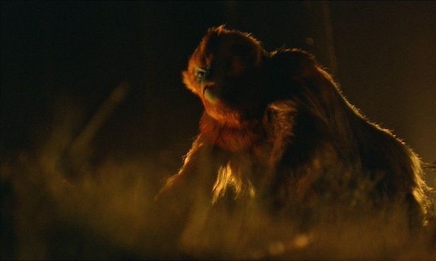 (C)2024 KURKAMART LLC AND IPR.VC FUND II KY. ALL RIGHTS RESERVED.