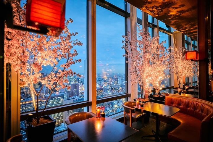 ザ タヴァン グリル＆ラウンジ 桜シーズン店内イメージ