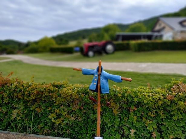 生垣には、ピーターが脱ぎ捨てた青いジャケットがかかしになって立っている