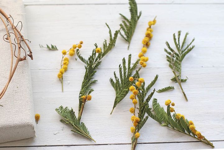 ミモザを小分けにする