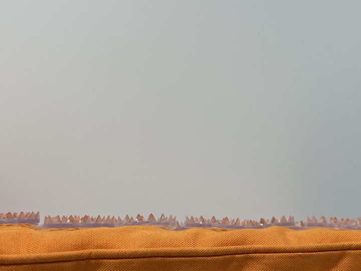 画像: 大先輩から言われた一言で意識を高める