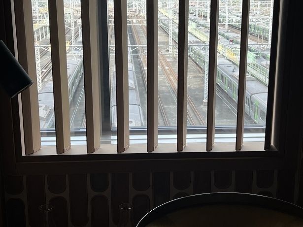 サウナ室の窓からは車両センターの電車が見える