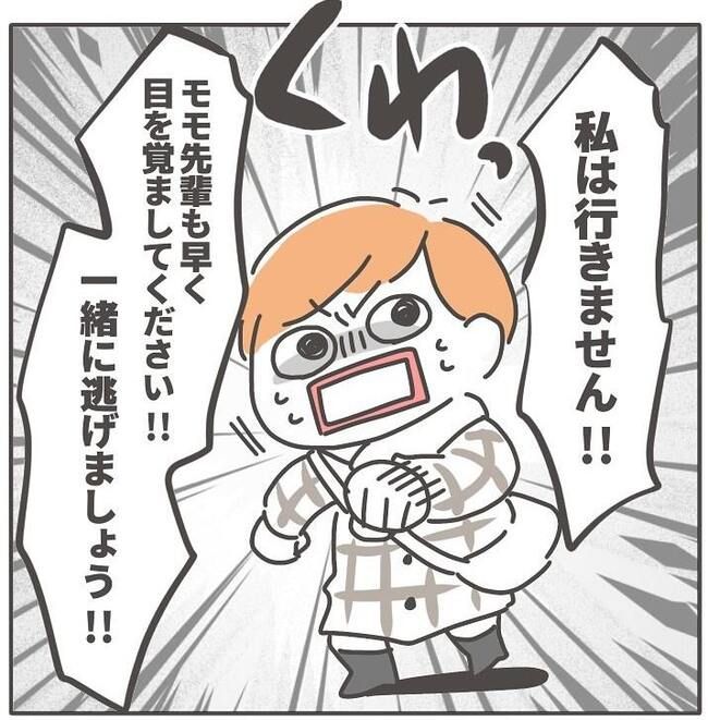 憧れの人の本性／カカオ