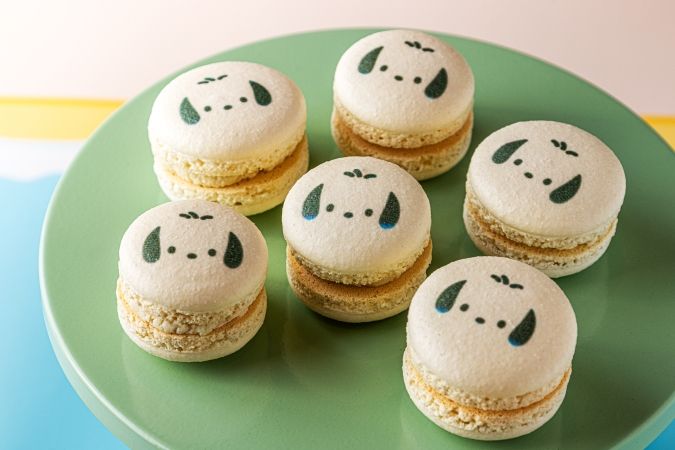 「Come travel with us～はぴだんぶいの福岡探検～」ポチャッコのマカロンラリー