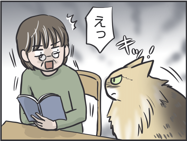 猫の表情6.PNG
