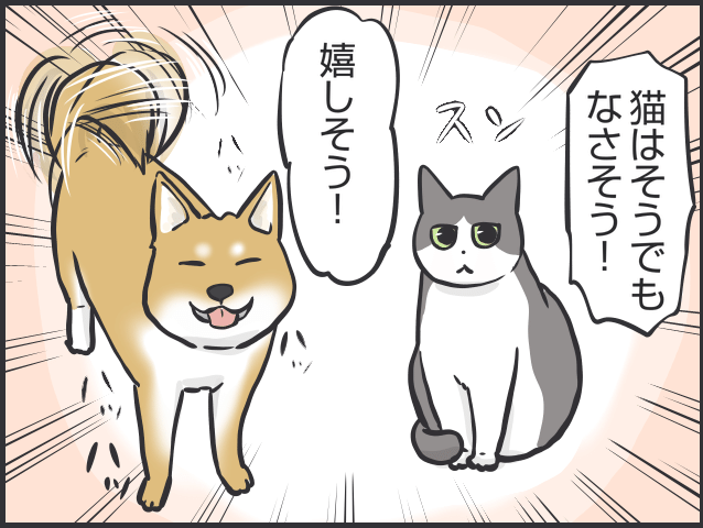 猫の表情1.PNG