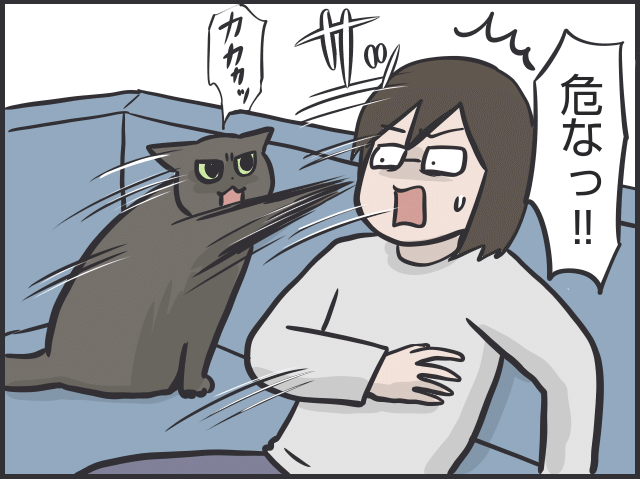 猫の表情5.PNG