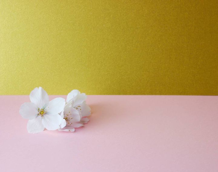 玄関 出世運 上がる 季節のアイテム