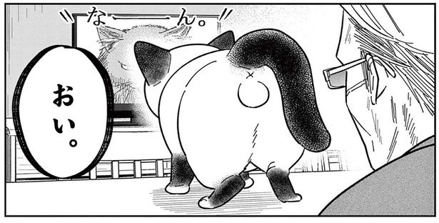 いつもはのんびり屋な野良猫。テレビに映る「ボス猫」をを見て豹変!? （C）片倉頼／小学館