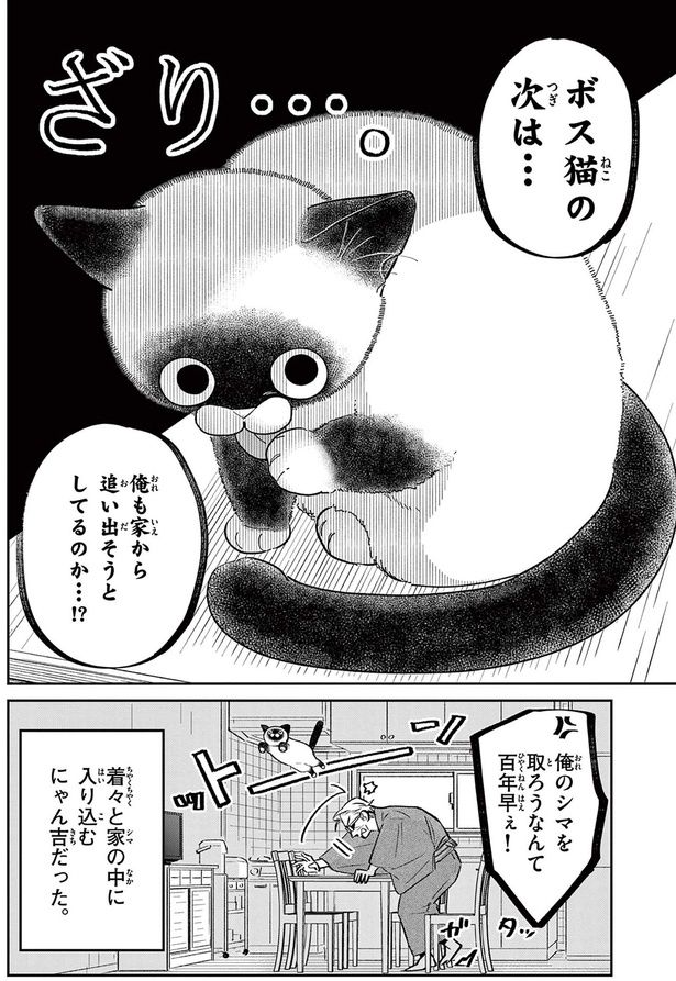 ボス猫の次は...俺も家から追い出そうとしてるのか...！？ （C）片倉頼／小学館