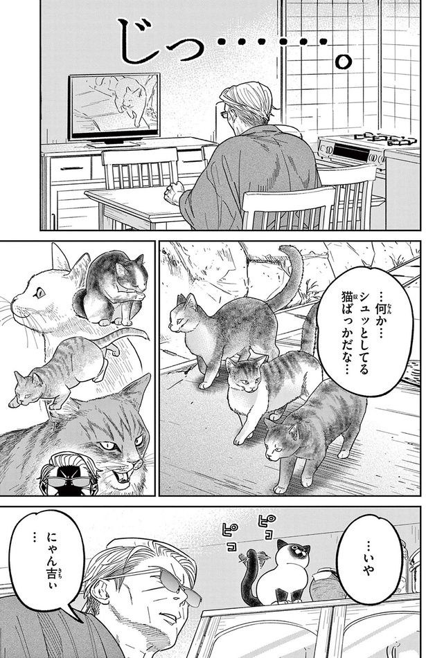 何か...シュッとしてる猫ばっかだな （C）片倉頼／小学館