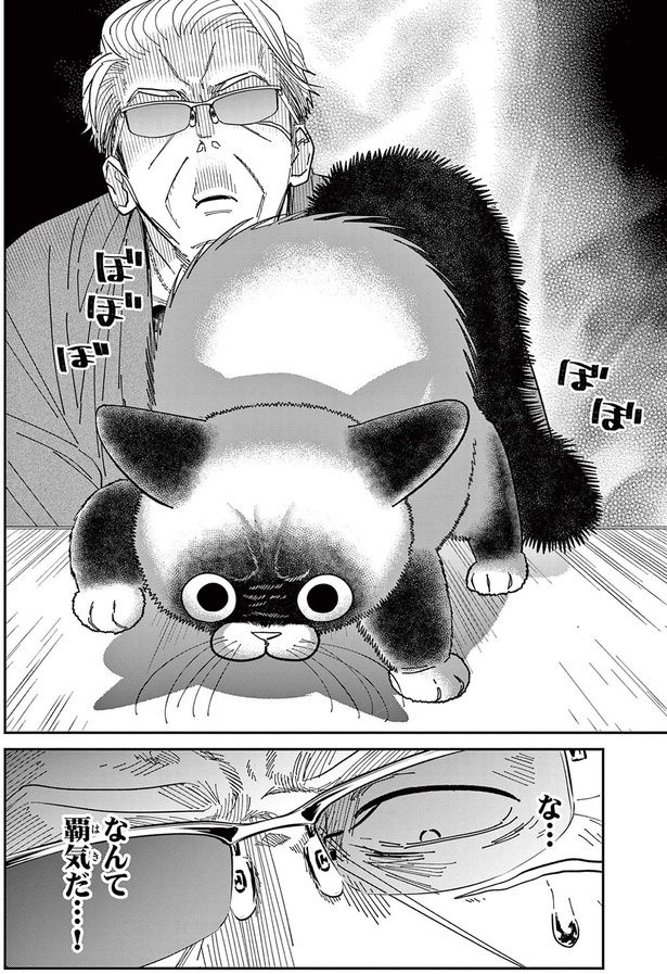 なんて覇気だ...！ （C）片倉頼／小学館