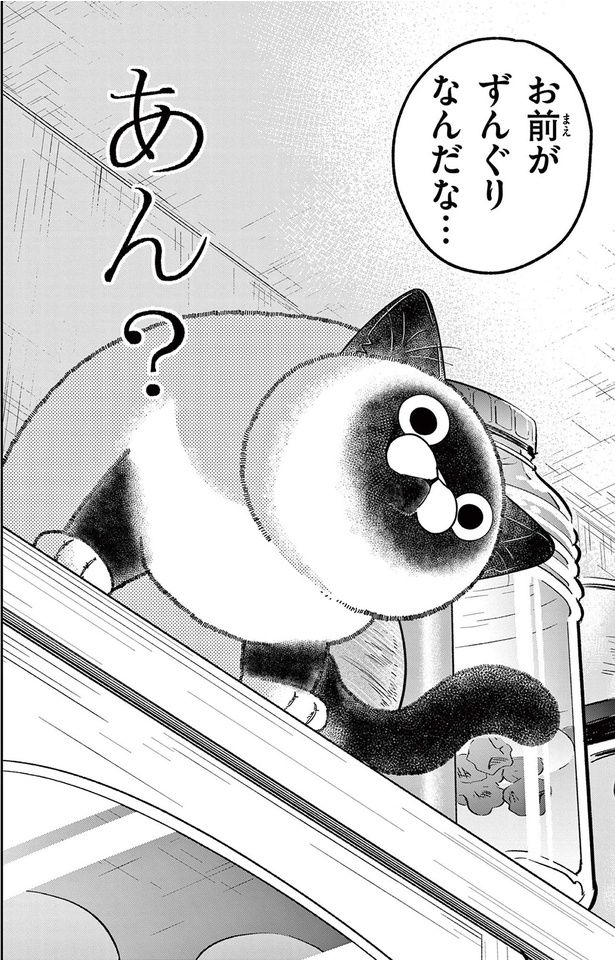 お前がずんぐりなんだな （C）片倉頼／小学館