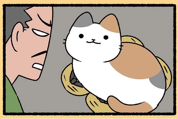 うわぁかわいい （C）ぱんだにあ／KADOKAWA