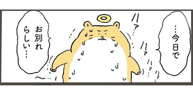 …今日でお別れらしい… （C）中山有香里／KADOKAWA