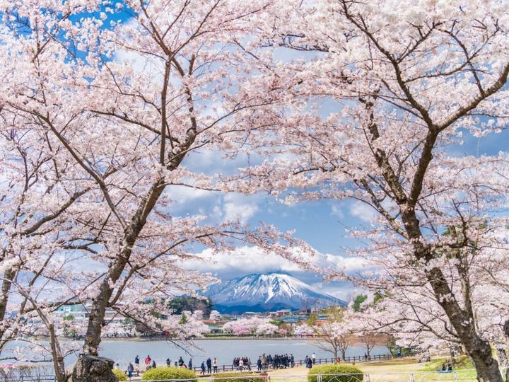 All About ニュース編集部が全国250人を対象に実施した「旅行先に関するアンケート」の調査結果から、春に行きたいと思う「岩手県の旅行先」ランキングを発表！ 2位「盛岡市」を抑えた1位は？