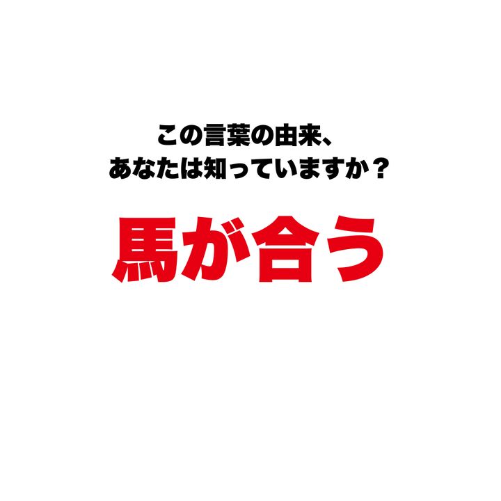 『馬が合う』この言葉の由来、知っていますか？ なぜ「馬」という言葉が使われるのか、語源を知ると思わず納得の理由！
