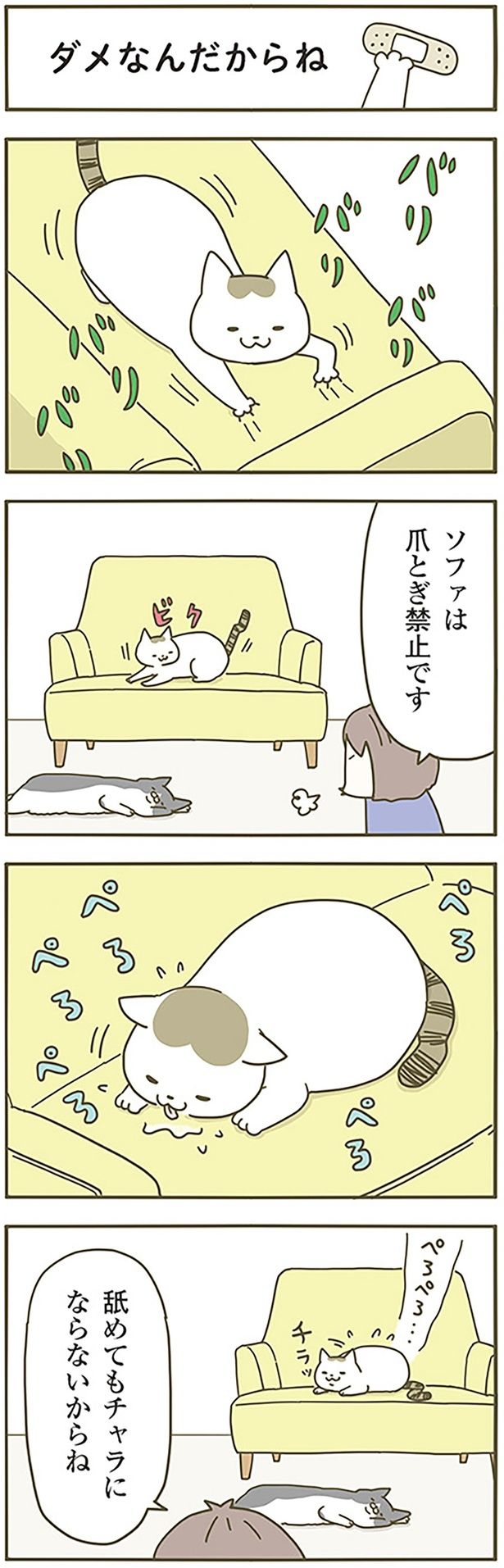 ダメなんだからね！ （C）卵山玉子／KADOKAWA