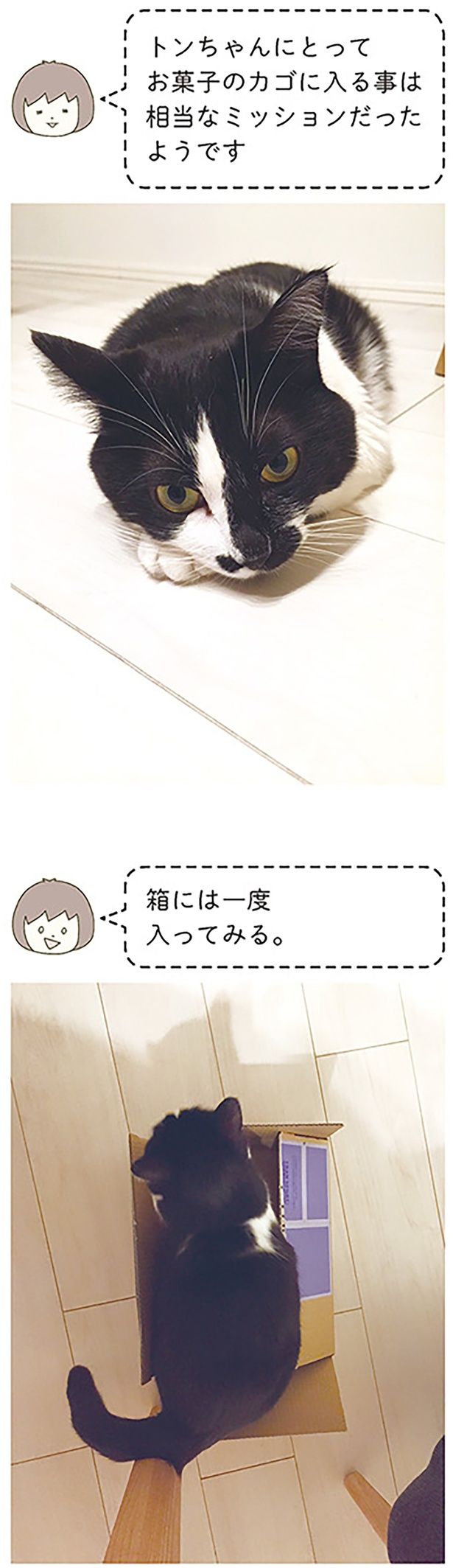 箱には一度入ってみる （C）卵山玉子／KADOKAWA
