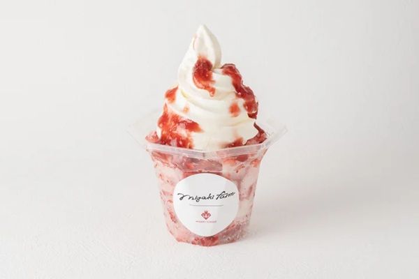 【宮城県名取市】「ミガキイチゴ」を使ったひんやりスイーツが登場！旬の美味しさを五感で楽しもう