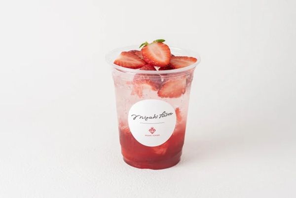 【宮城県名取市】「ミガキイチゴ」を使ったひんやりスイーツが登場！旬の美味しさを五感で楽しもう