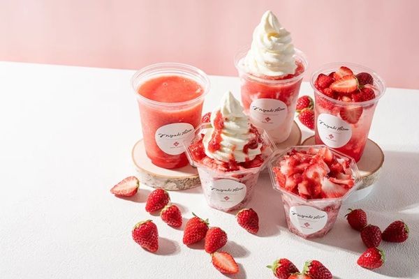 【宮城県名取市】「ミガキイチゴ」を使ったひんやりスイーツが登場！旬の美味しさを五感で楽しもう