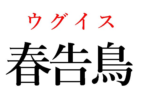 ウグイス