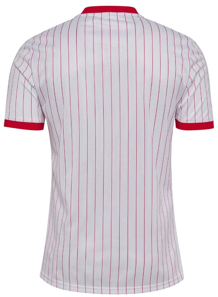 画像2: Denmark 2026 hummel Away