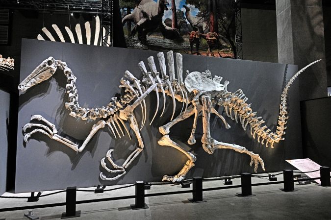  大恐竜展 ～「フクイ」から探る獣脚類の進化～