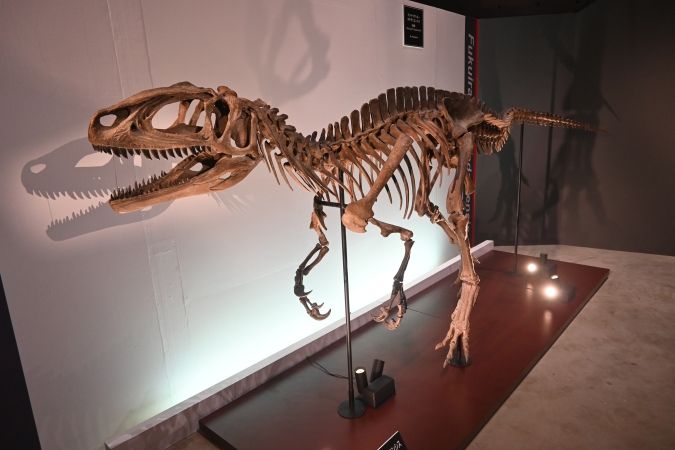 フクイラプトル 大恐竜展 ～「フクイ」から探る獣脚類の進化～