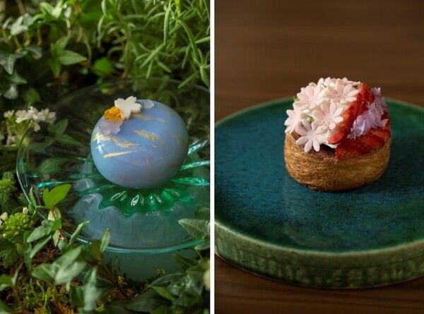 【京都府京都市】カペラ京都に、「京おどり」の開催と春の訪れを祝したケーキやベーカリーが登場！