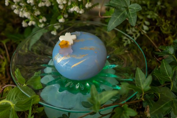 【京都府京都市】カペラ京都に、「京おどり」の開催と春の訪れを祝したケーキやベーカリーが登場！