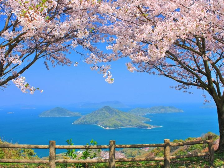 All About ニュース編集部が全国250人を対象に実施した「桜の名所に関するアンケート」の調査結果から、香川で行ってみたい＆好きな桜の名所ランキングを発表！ 2位「紫雲出山山頂園地」を抑えた1位は？