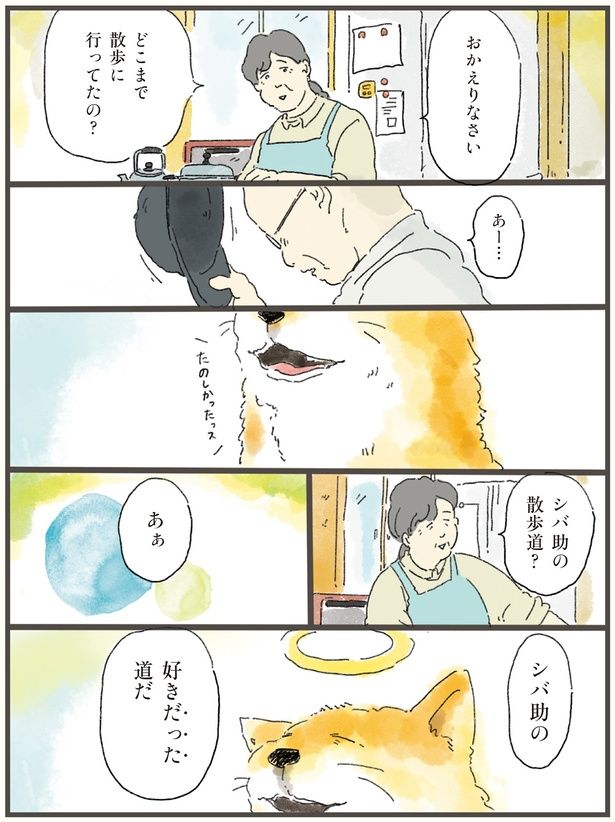 どこまで散歩に行ってたの？ （C）中山有香里／KADOKAWA