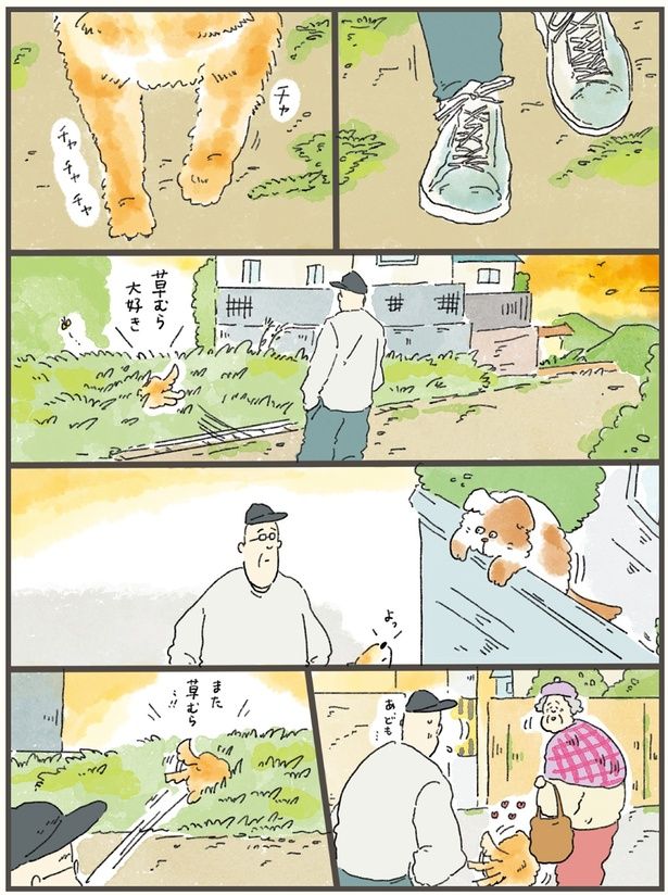 草むら大好き （C）中山有香里／KADOKAWA