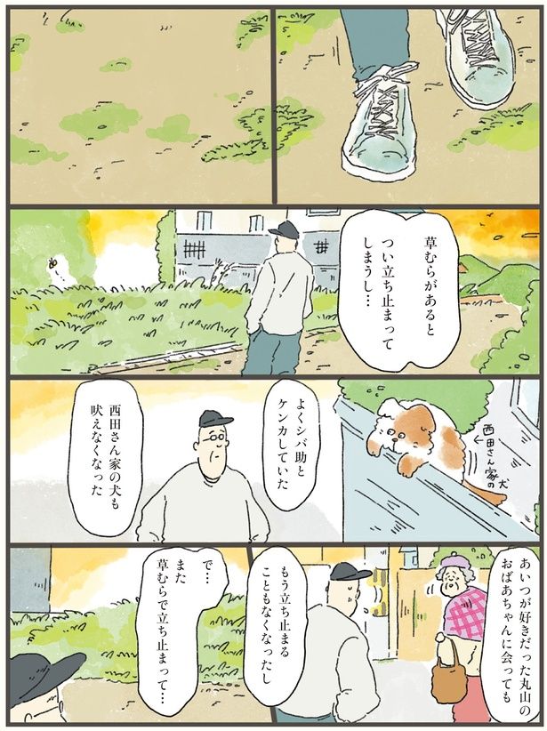 草むらがあるとつい立ち止まってしまうし… （C）中山有香里／KADOKAWA