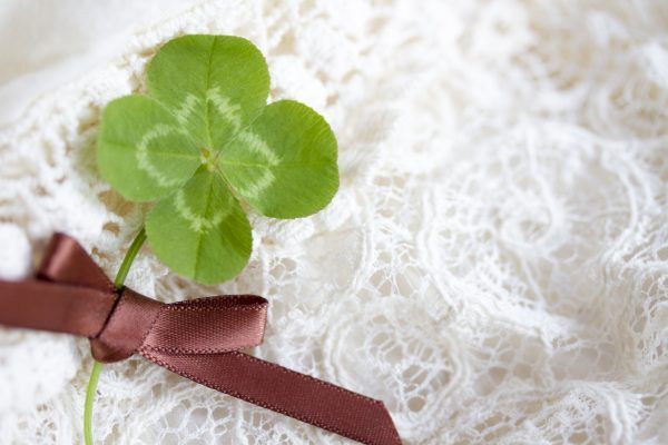 四つ葉のクローバー