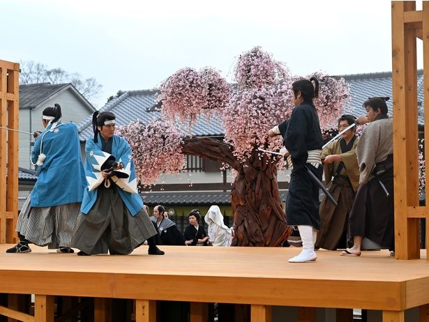 東映の役者たちが繰り広げる殺陣シーンは迫力満点