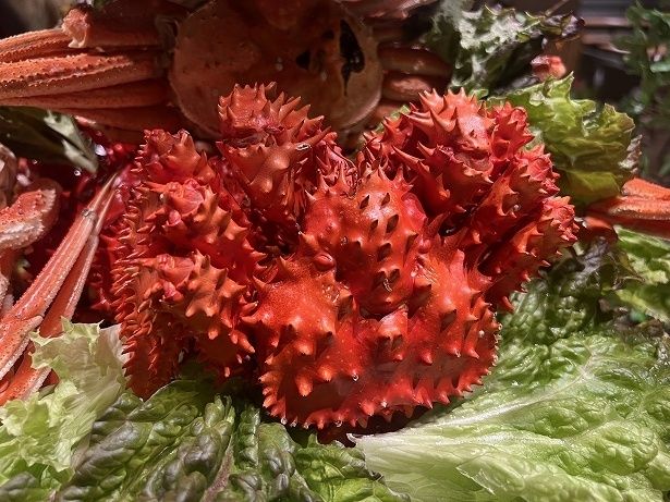 花咲ガニはトゲトゲした見た目だが、甘味のある身がたまらない