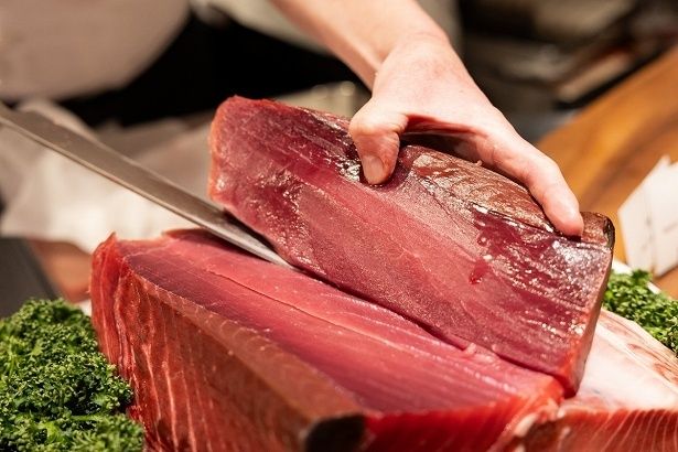 天然南マグロの部位食べ比べができる