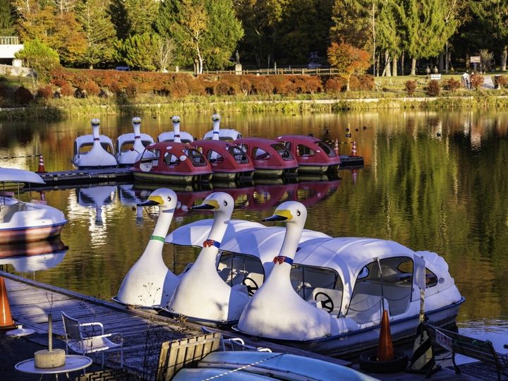 長野県茅野市に位置する奥蓼科温泉は、八ヶ岳の西麓にある静かな秘湯地です。武田信玄の「隠し湯」として名高く、明治温泉や渋御殿湯など歴史ある宿が点在します。豊かな自然に囲まれ、湯治や登山の拠点としても愛される、心身を深く癒やす温泉郷です。