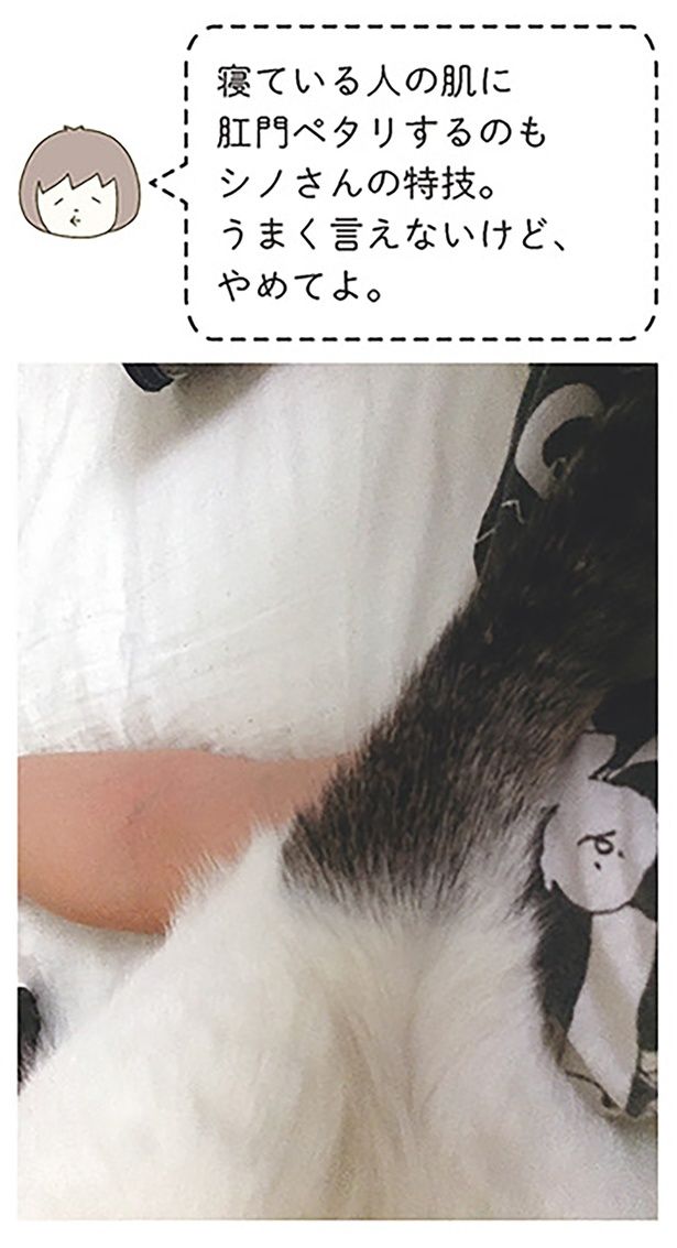 うまく言えないけど、やめてよ。 （C）卵山玉子／KADOKAWA