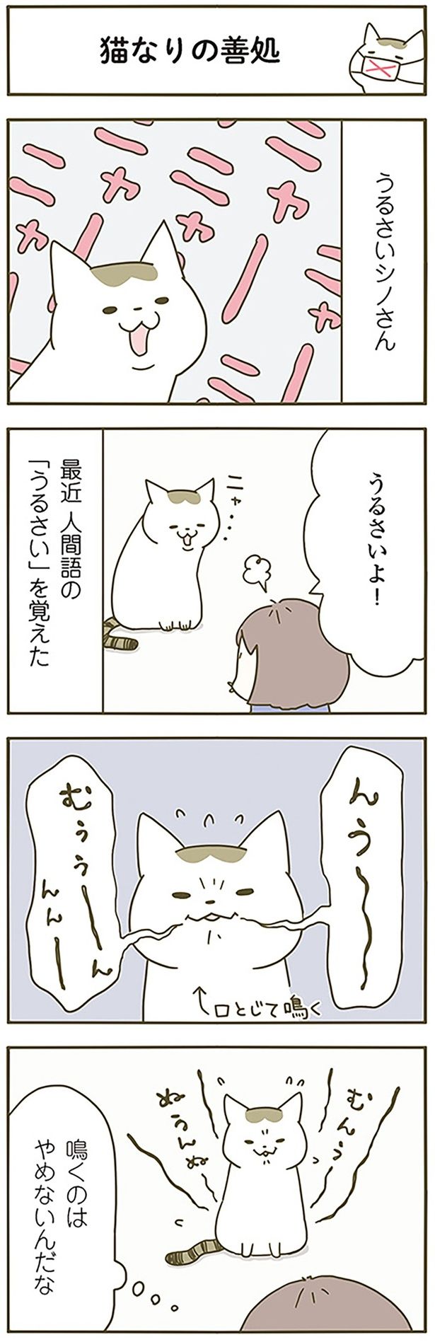 猫なりの善処 （C）卵山玉子／KADOKAWA