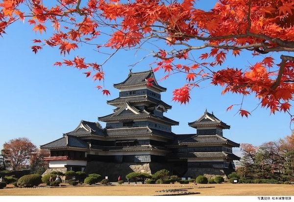 外国人観光客に一番人気の日本の城は「大阪城」。ナビタイムジャパンが調査結果を発表