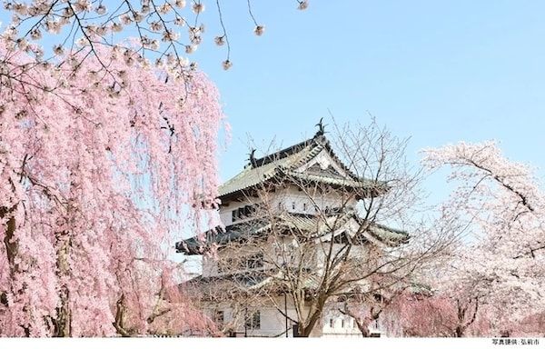 外国人観光客に一番人気の日本の城は「大阪城」。ナビタイムジャパンが調査結果を発表