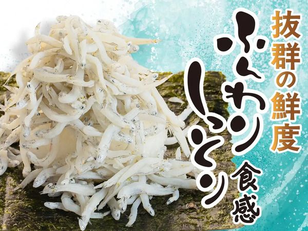 【東京都・神奈川県・千葉県】「回し寿司 活」「寿司活」全店で、期間限定の「高知 うまいもんフェア」開催！