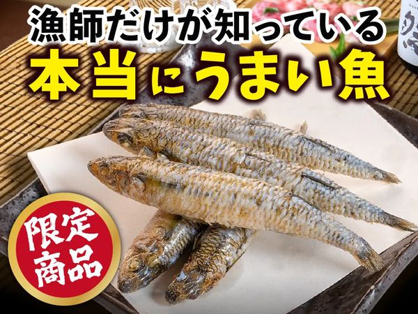 【東京都・神奈川県・千葉県】「回し寿司 活」「寿司活」全店で、期間限定の「高知 うまいもんフェア」開催！